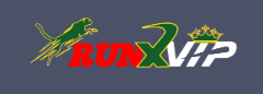 Explore the Exciting World of Runx Bet Your Ultimate Betting Destination