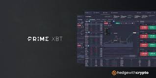 Everything You Need to Know About PrimeXBT Contacts