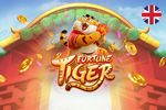 Baixar e instalar o aplicativo Lot Of Money Tiger
